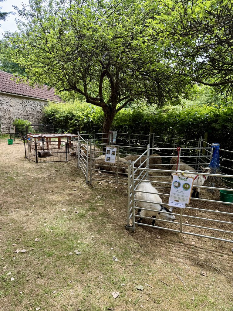 animals-cheery-and-chipper-farm-play