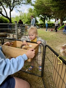 Cheery and Chipper Farm Play